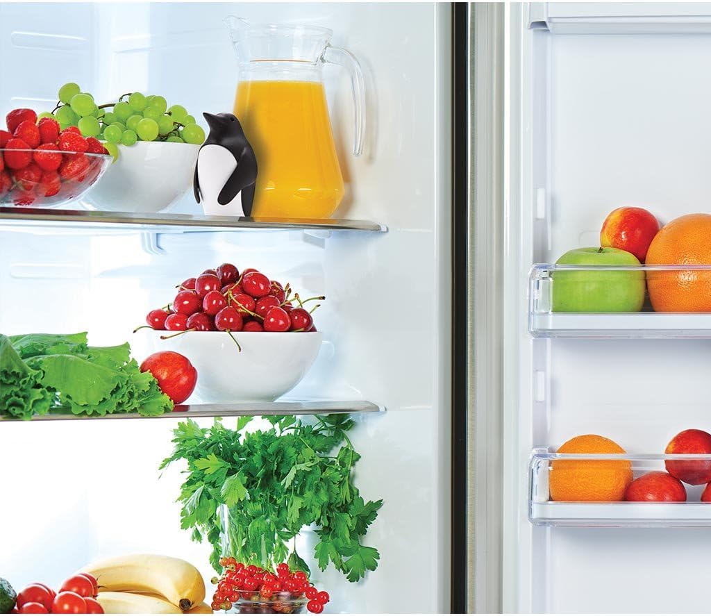 Dezodoryzator do lodówki z poj – Kitchen Gadgets Holder recenzja i cena