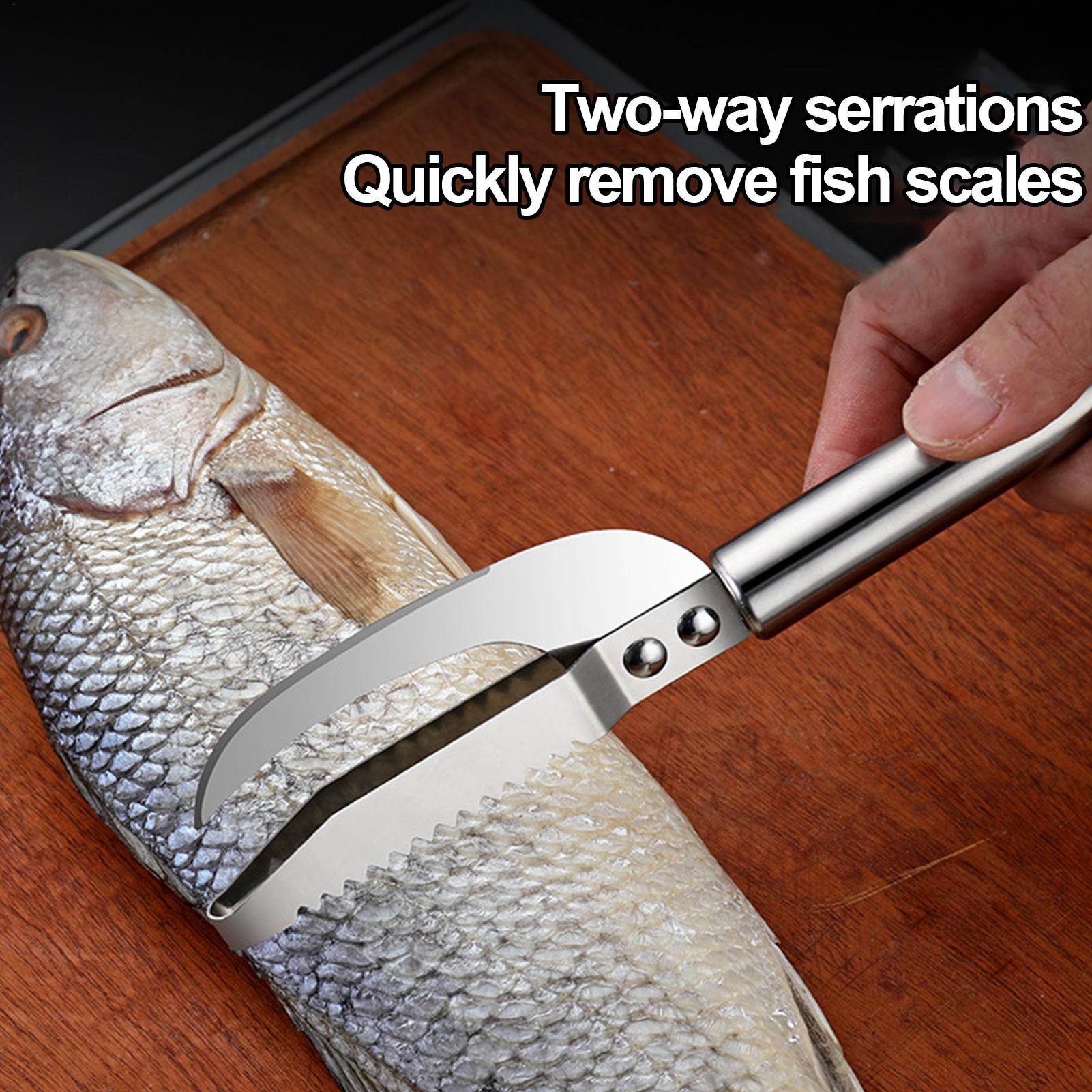 Nóż do usuwania łusek ryb, nar – Kitchen Gadgets That Are Useful recenzja i cena